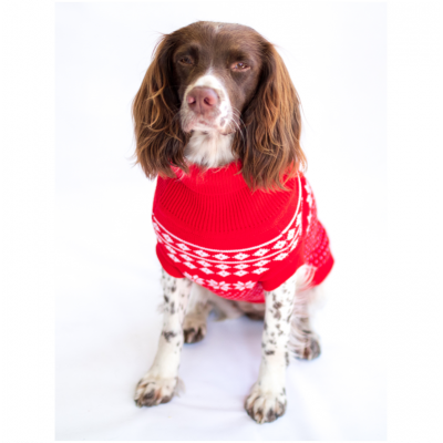 The Bailey Dog Jumper in Red